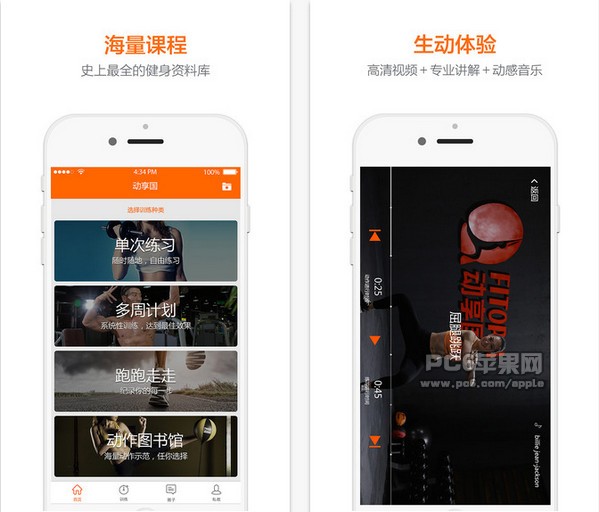 动享国app
