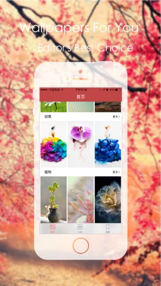 高清壁纸管家app