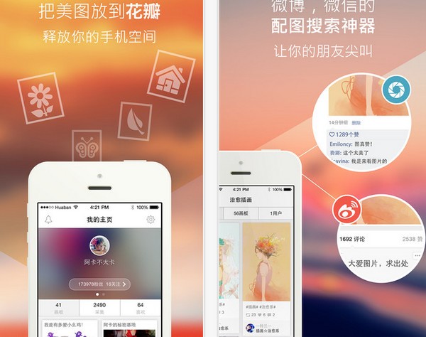 花瓣网下载