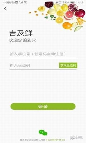 吉及鲜