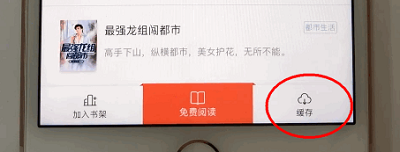 宜搜小说app 宜搜小说缓存全本教程