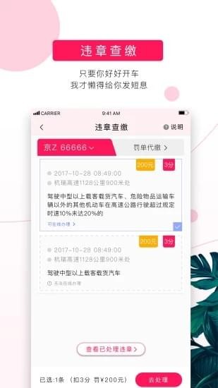 女车主