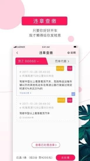 女车主