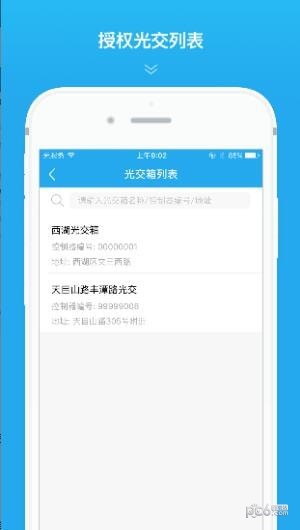贯众云光交