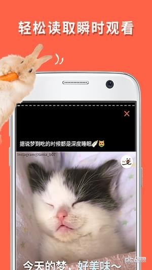 朋宠peco app下载