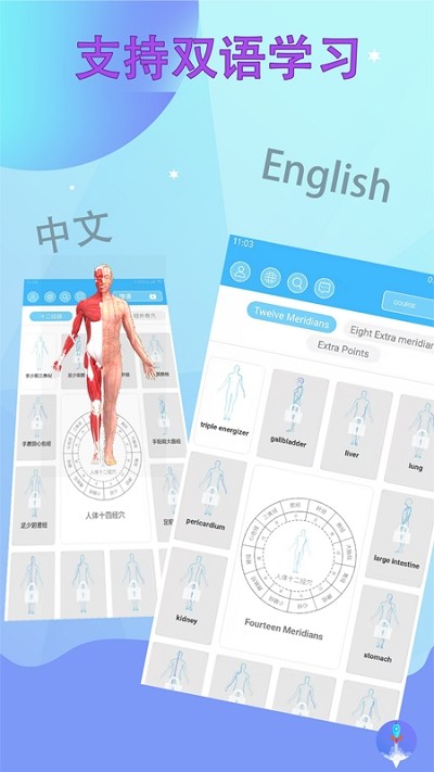 中医经络腧穴
