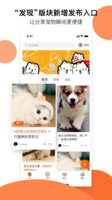 顽萌