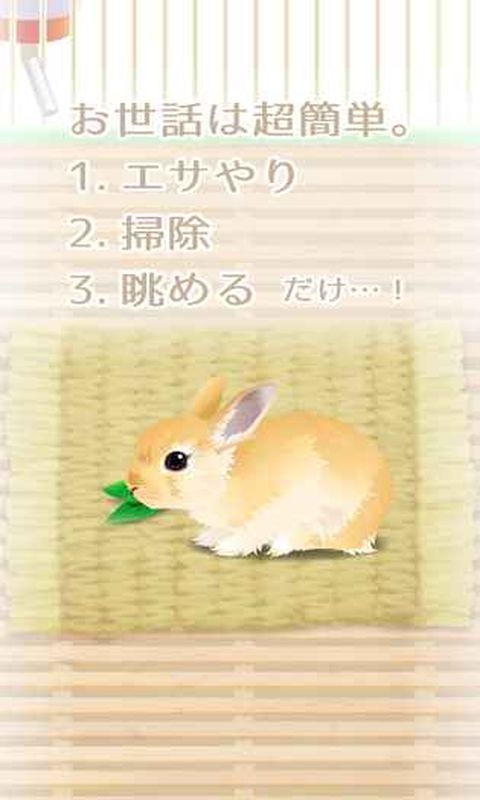 治愈系兔子养成汉化版