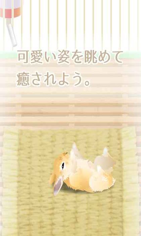 治愈系兔子养成汉化版