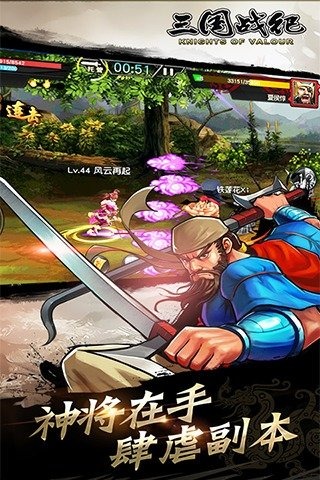 三国战纪vivo版本