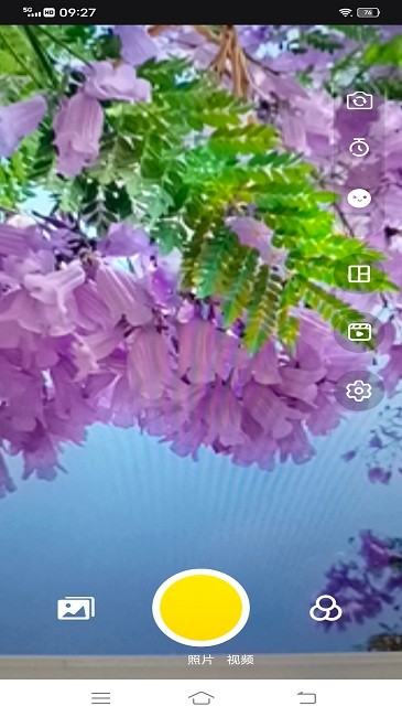 snap app下载