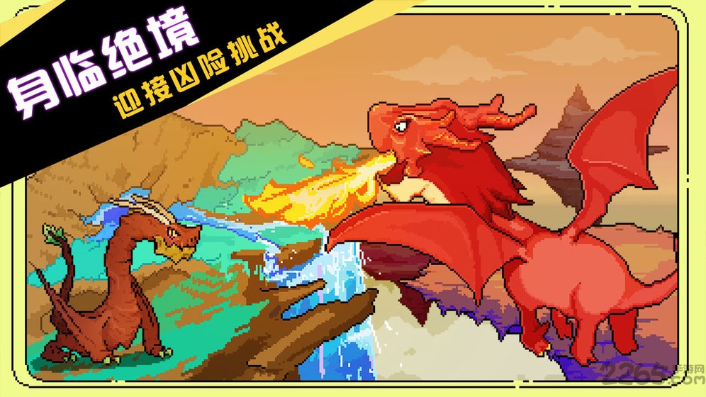 开罗驯龙师的契约