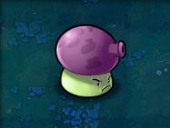 植物大战僵尸Hd版教程 植物大战僵尸Hd版攻略