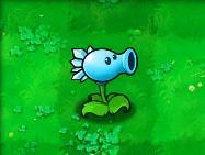 植物大战僵尸Hd版教程 植物大战僵尸Hd版攻略