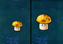 植物大战僵尸Hd版教程 植物大战僵尸Hd版攻略