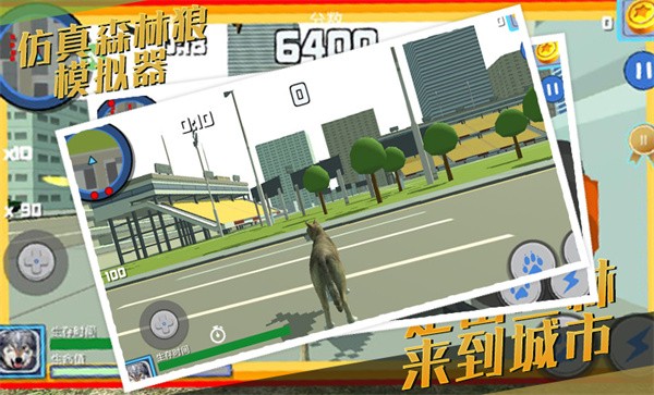 仿真森林狼模拟器手机版 仿真森林狼模拟器游戏下载