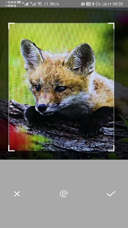 智能拍照识别软件