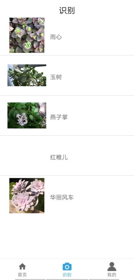 植物伴侣软件下载
