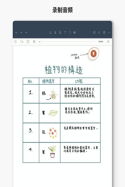 noteshelf软件