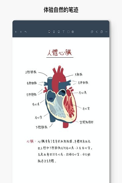 noteshelf软件