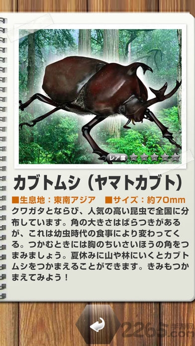 世界的昆虫采取轻量版