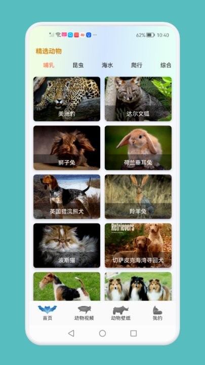 动物吧app下载