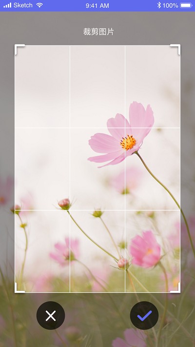 拍拍识图取字app