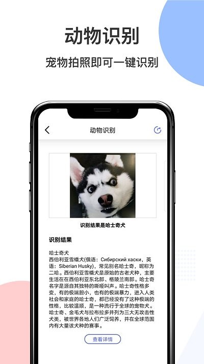 智慧识图pro手机版