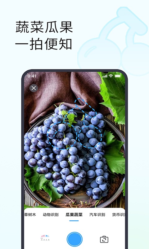 拍照识花助手app(改名拍照识别植物)