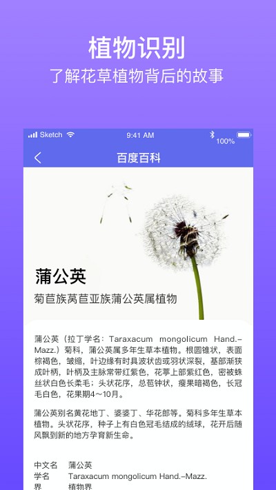 拍拍识图取字app