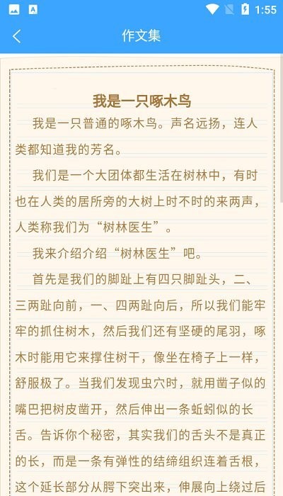 美篇作文范文
