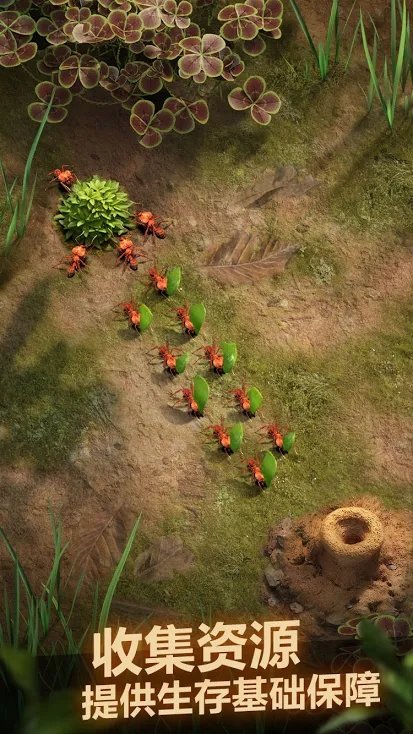 蚂蚁地下王国手游(the ants)