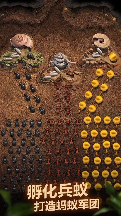 蚂蚁地下王国官方版 蚂蚁地下王国游戏下载