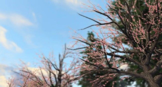 明日之后快乐101樱花树在哪里？末世樱花位置和玩法介绍[视频][多图]图片2