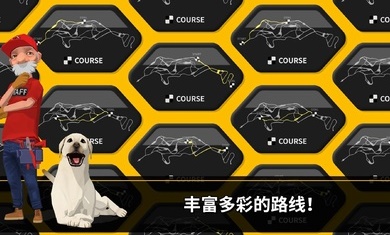 降速大师手机版(DownHillMasters)