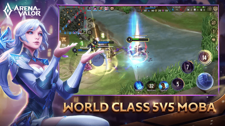 王者荣耀国际服(Arena of Valor)