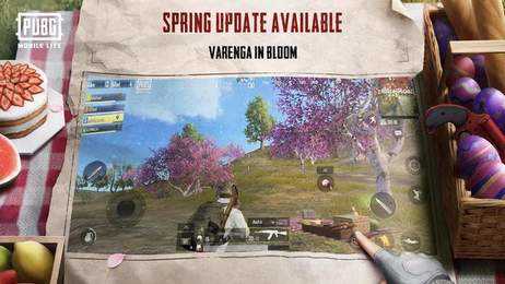 国际服刺激战场最新版本(PUBG MOBILE)