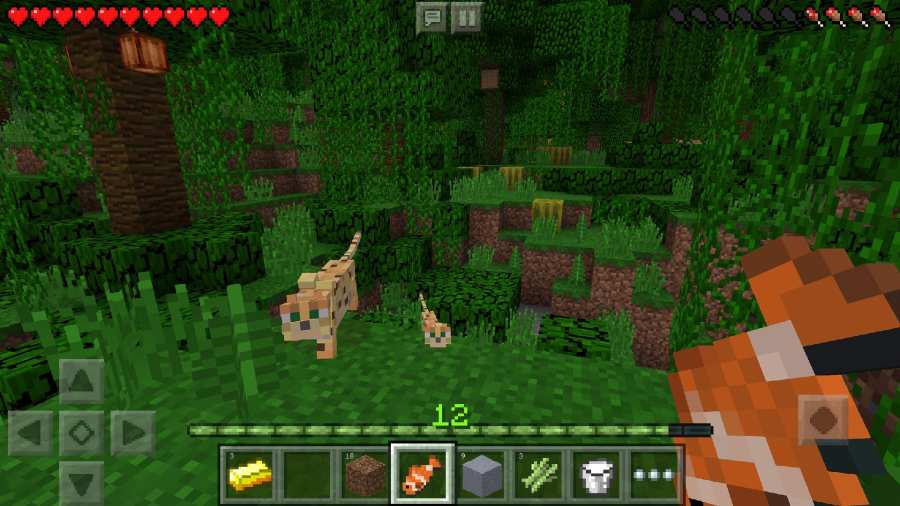 我的世界单机版(Minecraft)
