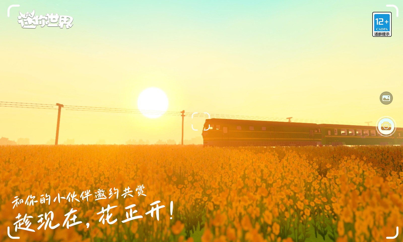 迷你世界(花海版本)